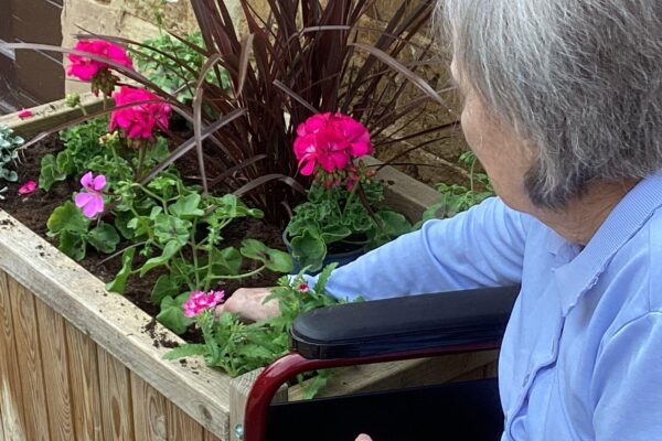 Residents planting plants in the courtyard planters. Residents planting plants in the courtyard planters.