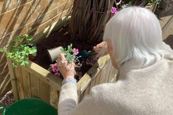 Residents planting in the courtyard planters. Residents planting in the courtyard planters.