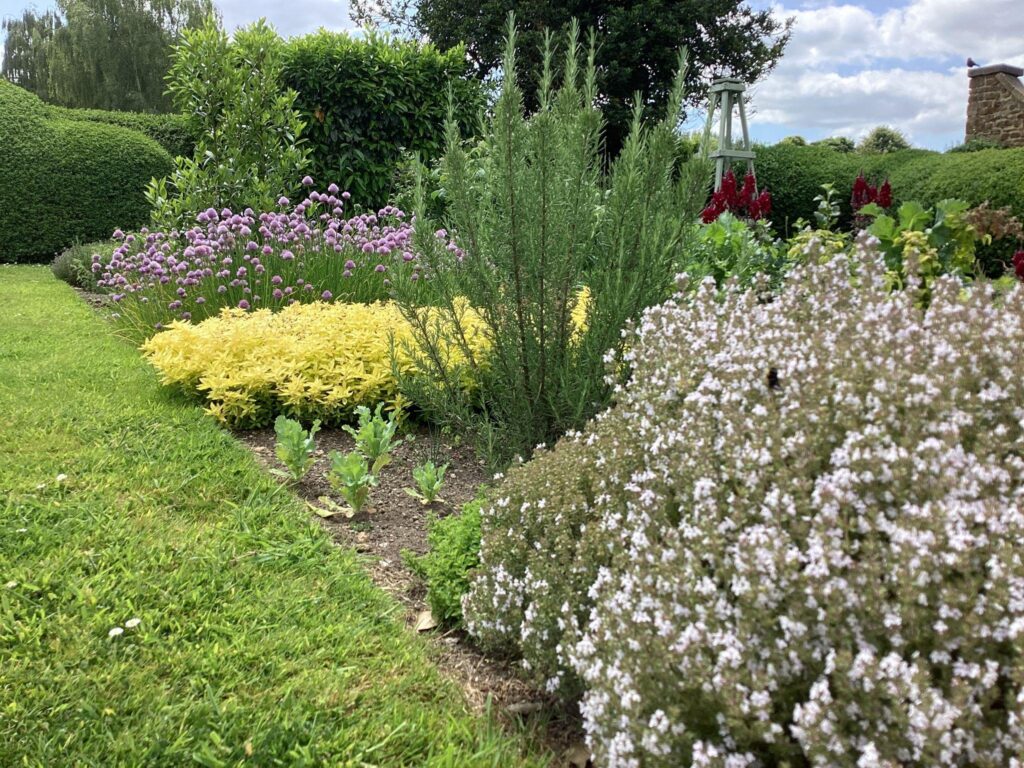 The herb garden within the walled garden.
