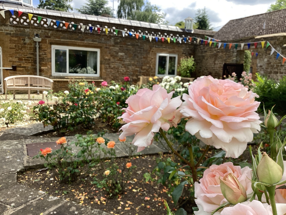 Rose Garden during Garden Party.