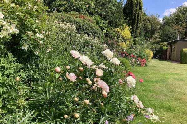 Flower beds bursting with beauty. Flower beds bursting with beauty.