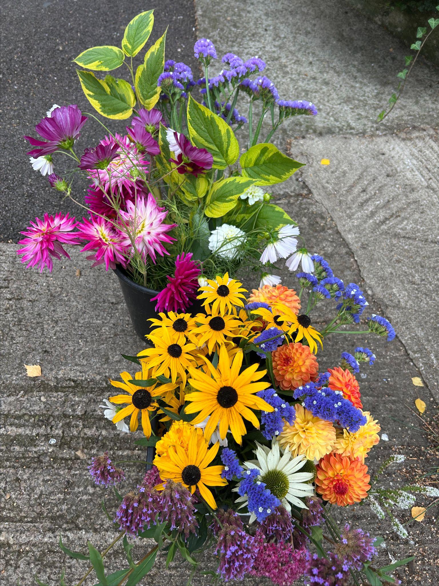 Buckets of blooms ready to decorate the house.