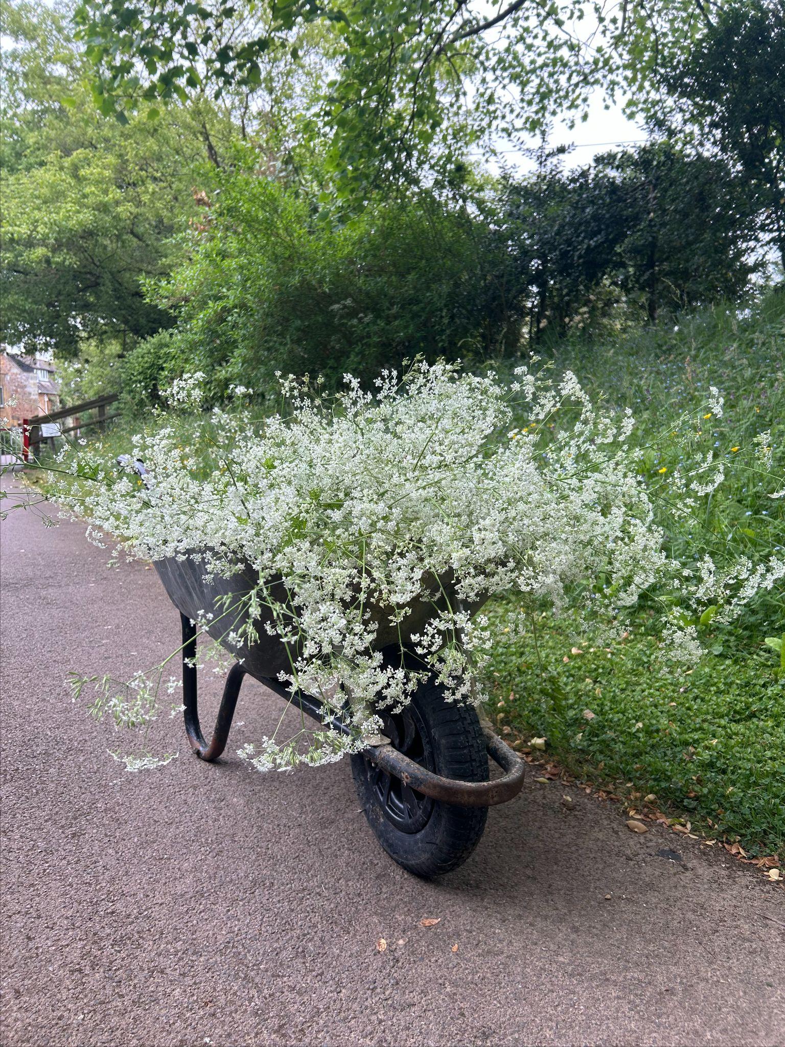 Pathways being cleared.