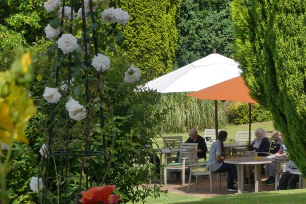 2-RB403a-087-scaled 2-RB403a-087-scaled