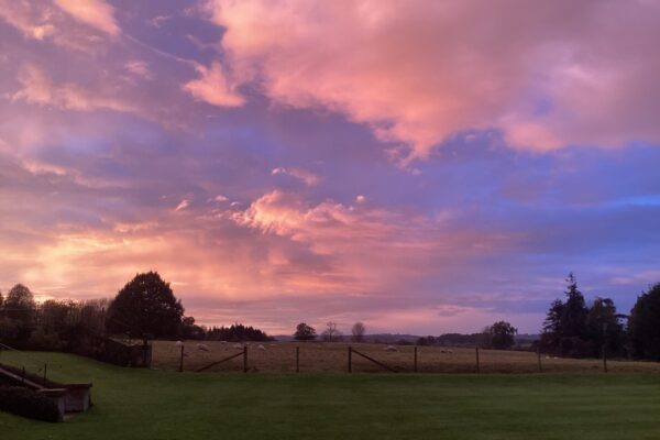 image - 2025-09-05T152254.886