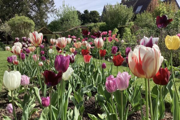 image - 2025-09-12T115934.359 image - 2025-09-12T115934.359