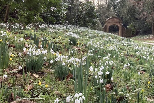 image - 2025-09-12T151836.118 image - 2025-09-12T151836.118