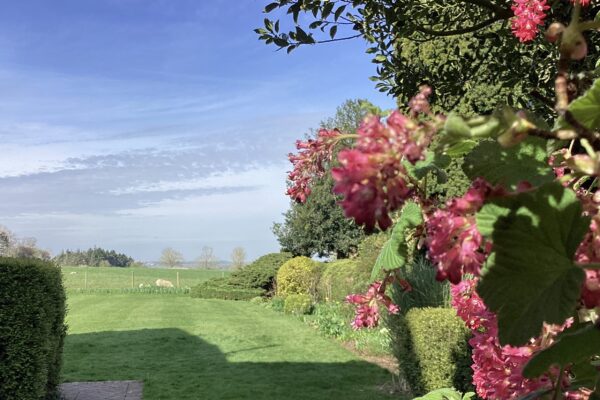 image - 2025-09-12T151849.773