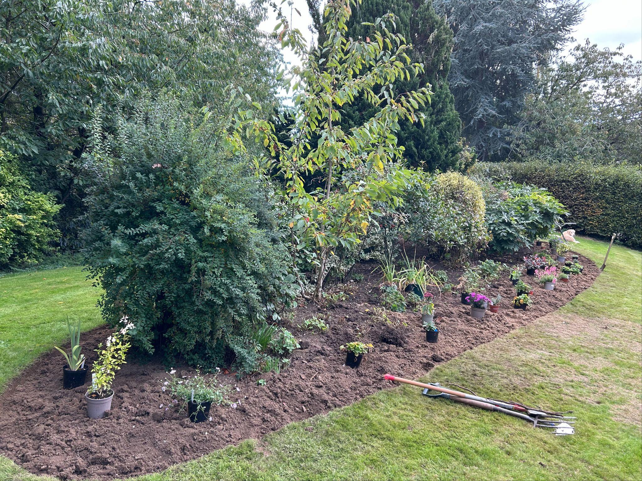 New plants being arranged on the front bank.