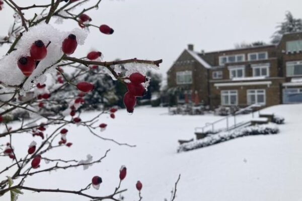 Serene snowy scene of Wardington House. Serene snowy scene of Wardington House.