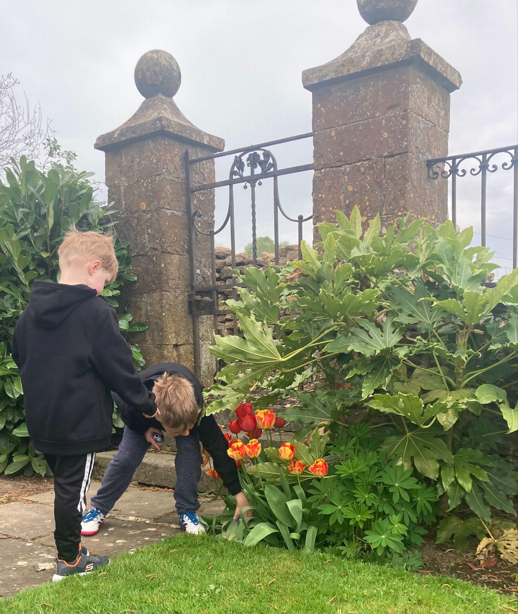 Children finding chocolate eggs in the garden.