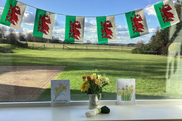 The Green Siting Room decorated for St David’s Day. The Green Siting Room decorated for St David’s Day.