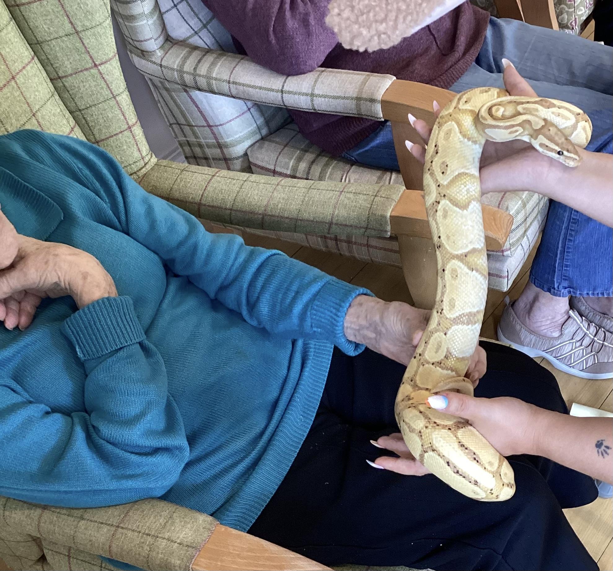 A resident touching a snake.
