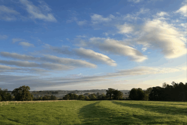 Clouds mimicking the shape of the ridge and furrow field