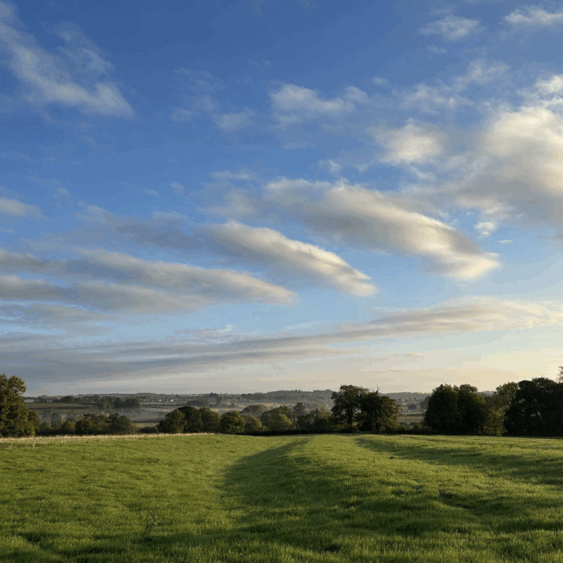 Clouds mimicking the shape of the ridge and furrow field